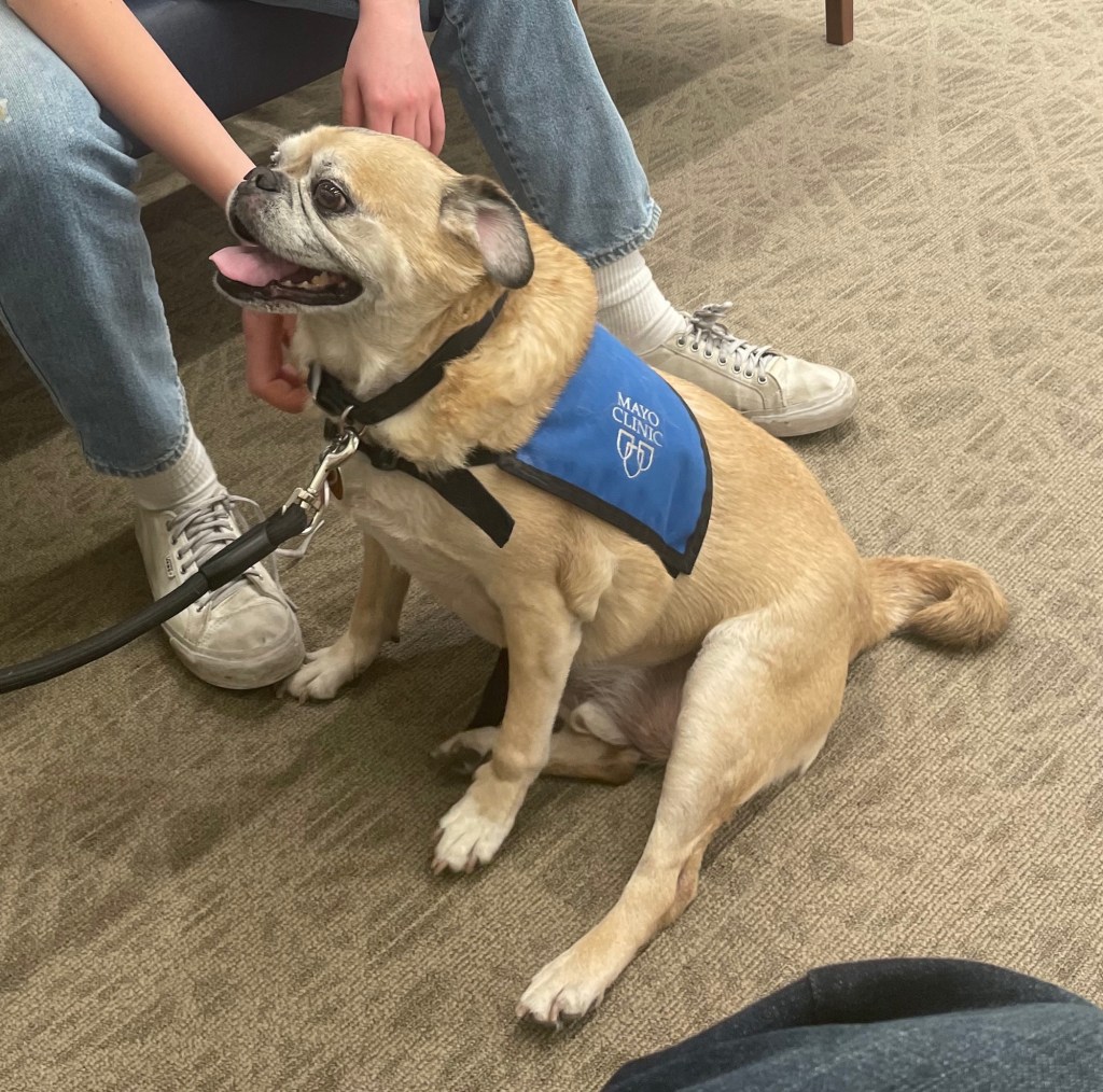 A sweet moment I wanted to&nbsp;share…