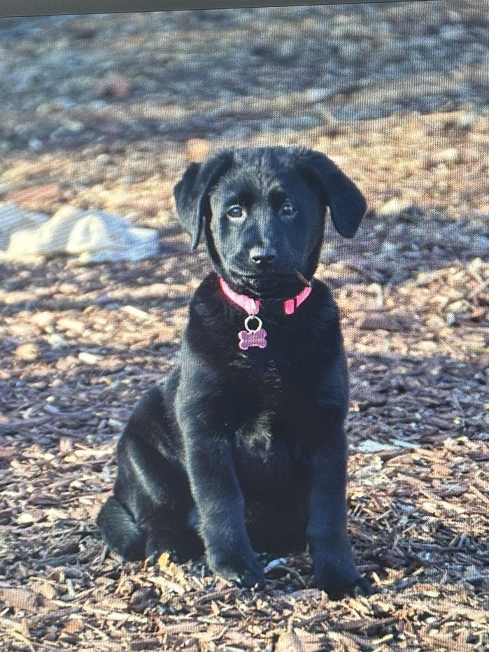 We’ve Got It From Here, Zoey – A&nbsp;Tribute